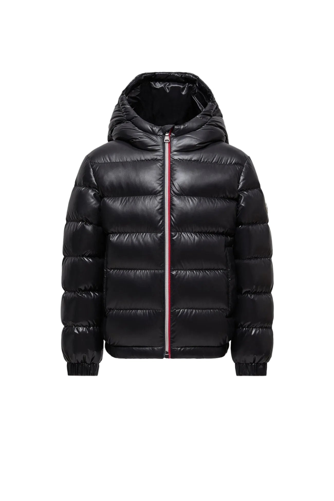 Moncler montbeliard jacket